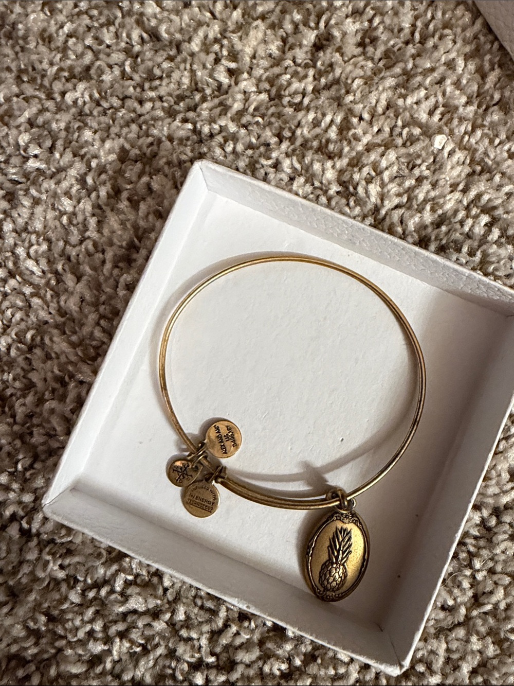 Alex and Ani Gold Pineapple Oval Charm Bangle Bracelet